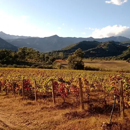 Farm stay Sa Perda Arrubia