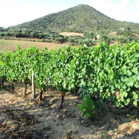 Sa Perda Arrubia Farm stay