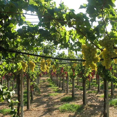 Alloggio per agriturismo Sa Perda Arrubia
