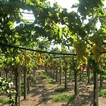Farmház Sa Perda Arrubia