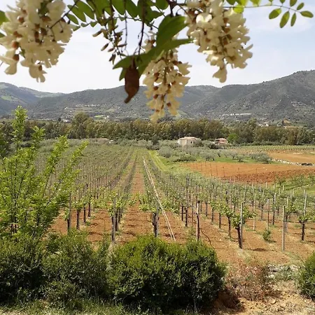 Sa Perda Arrubia كارديدو