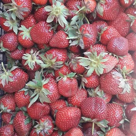 Sa Perda Arrubia مزرعة للإقامة كارديدو