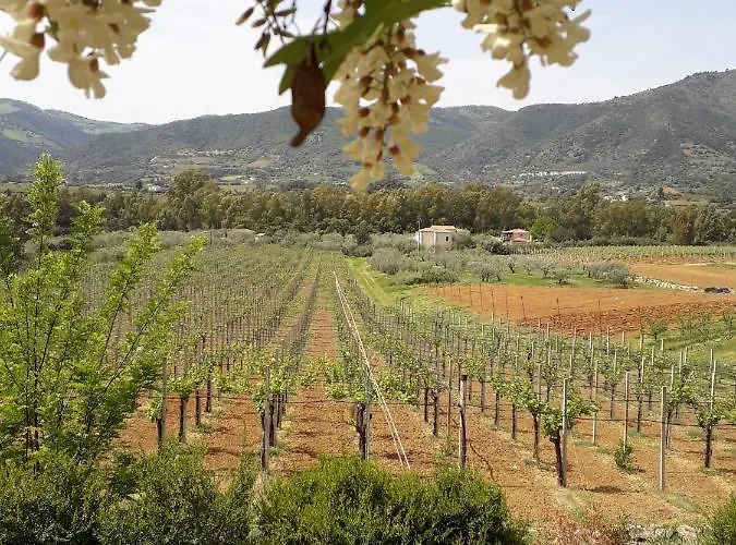 Sa Perda Arrubia Cardedu