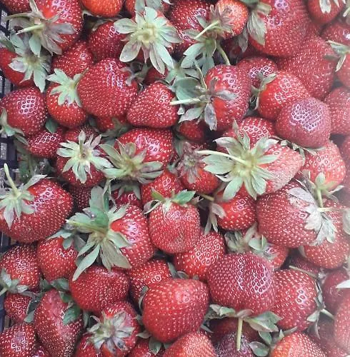 Sa Perda Arrubia Alojamento de Turismo Rural Cardedu