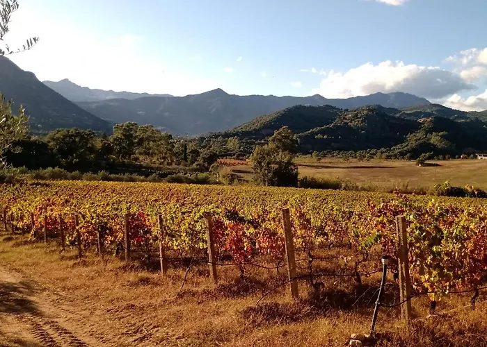 Alojamento de Turismo Rural Sa Perda Arrubia