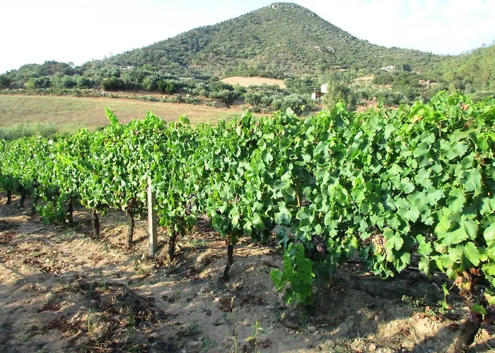 Sa Perda Arrubia Bauernhof