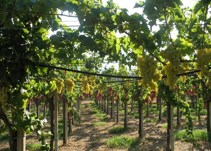 Bauernhof Sa Perda Arrubia